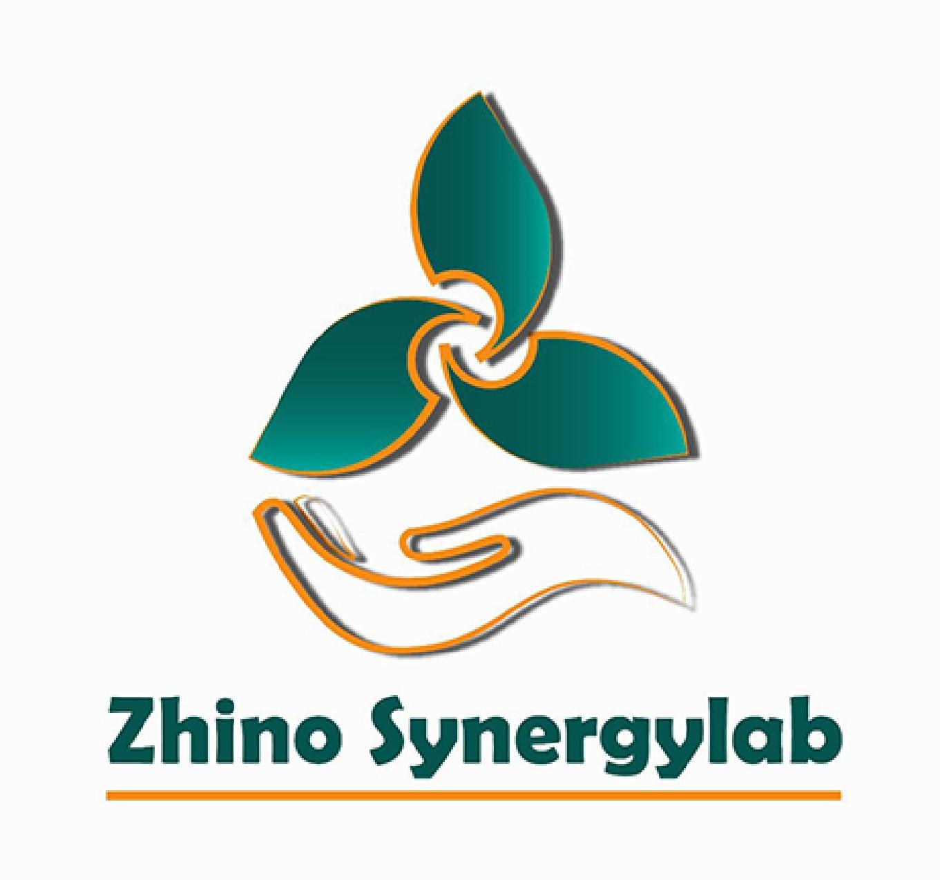 لوگوی پویش هم افزایی ژینو